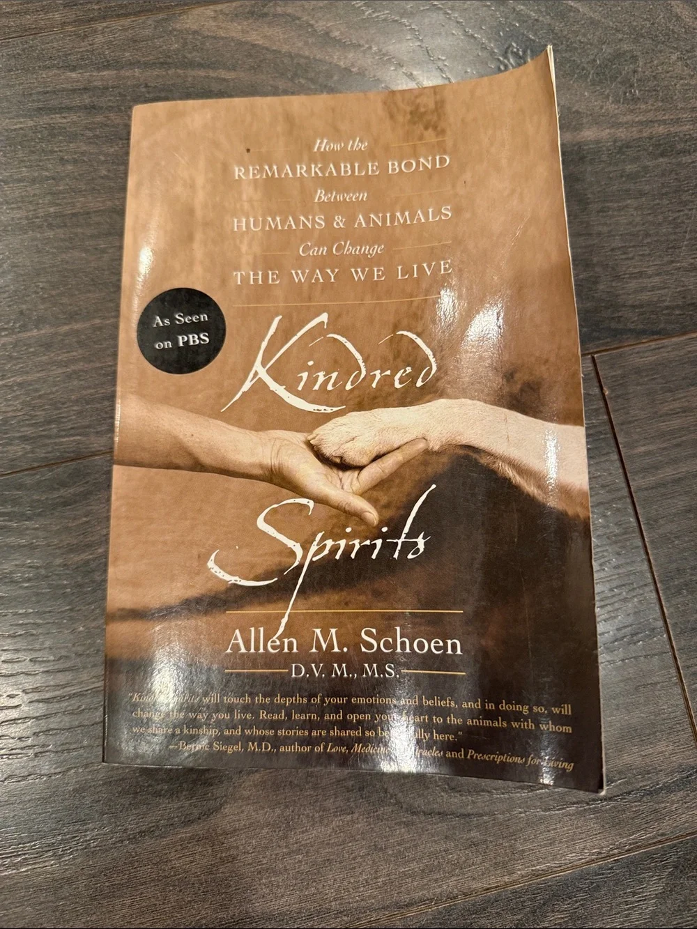 Kindred Spirits by Allen M. Schoen - Brown Cover 8:5